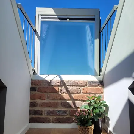 公寓 Loft Manufaktura Grossa 别尔斯克-比亚拉