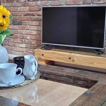 Loft Manufaktura Grossa Apartment Bielsko-Biala