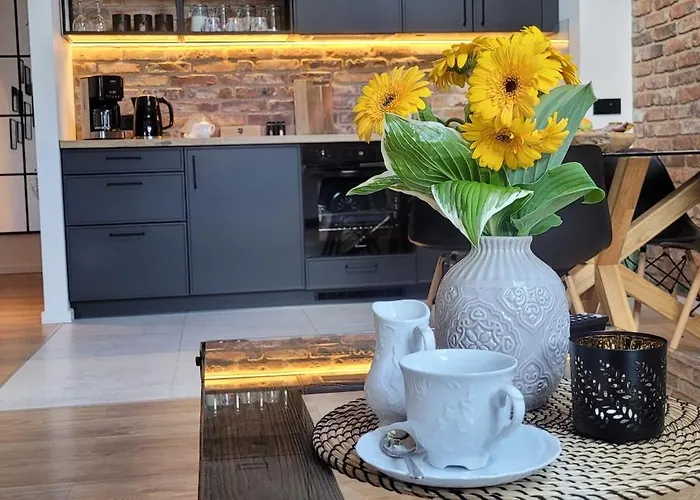 Loft Manufaktura Grossa Apartamento